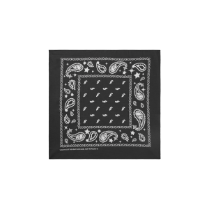 Flying B Paisley Bandana