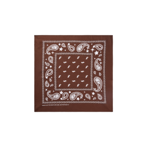 Flying B Paisley Bandana