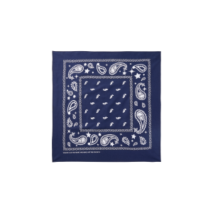 Flying B Paisley Bandana