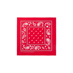 Flying B Paisley Bandana
