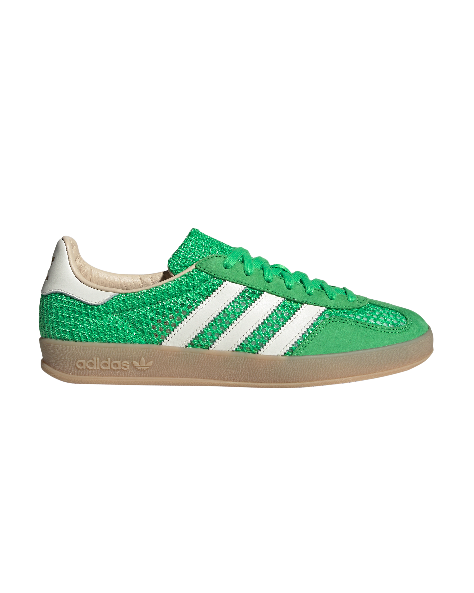 Gazelle Indoor
