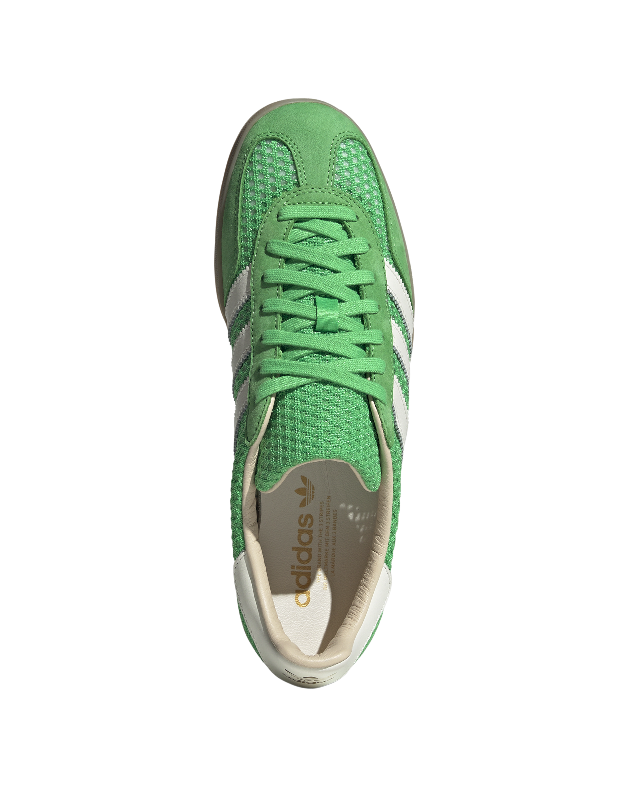 Gazelle Indoor - Image 3