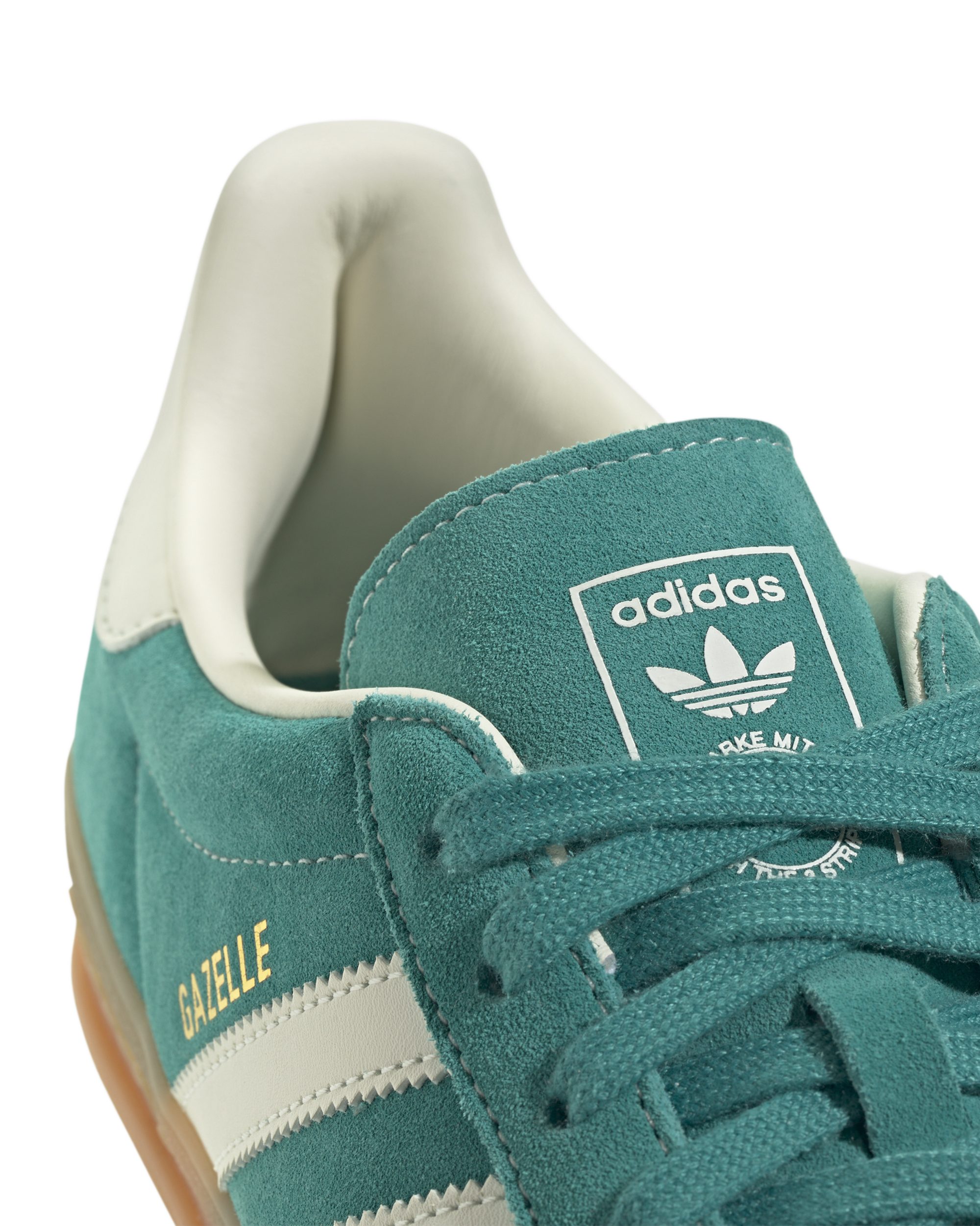 Gazelle Indoor - Image 5