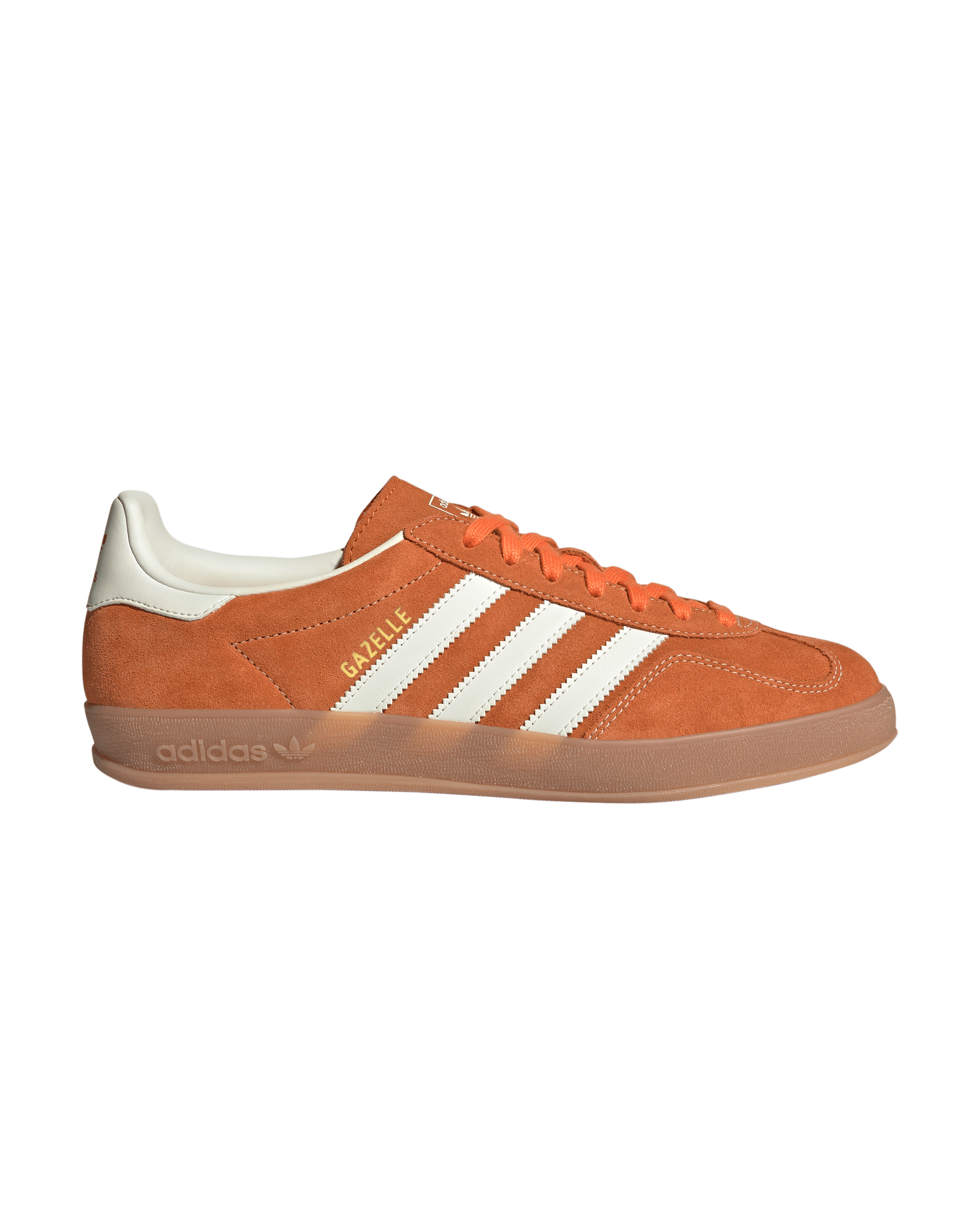 Gazelle Indoor