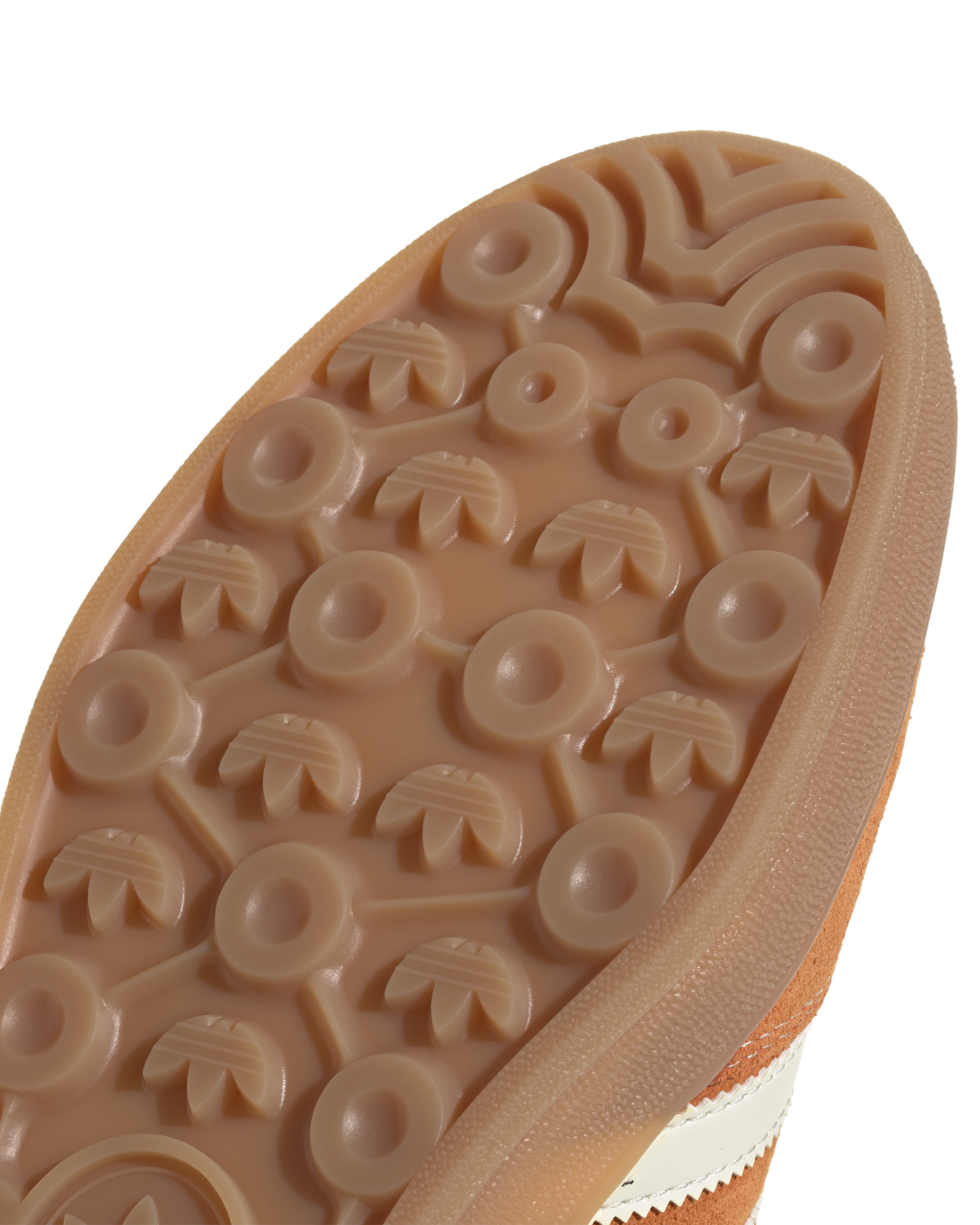 Gazelle Indoor - Image 6